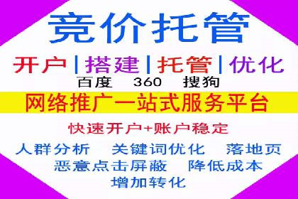 深度解析：竞价推广公司经典案例